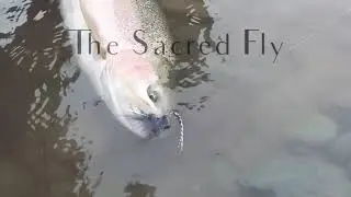 FLY TYING - The BEST &ldquo;Go To&rdquo; Year Round Steelhead Fly (The Sacred Fly!)