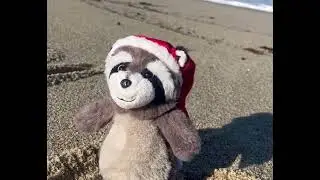 Un Natale d A mare