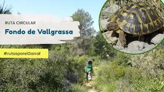 Ruta circular por el Fondo de Vallgrassa | Parc del Garraf