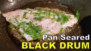 Pan Seared Black Drum