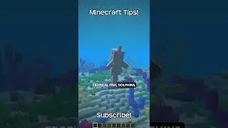 What Is The Command To Find A Warm Ocean In Minecraft?!