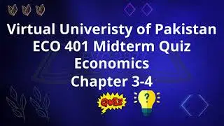 ECO 401 Quiz| Chapters 3-4|Economics Quiz