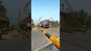 Funny Buffalo Headed Train #shorts