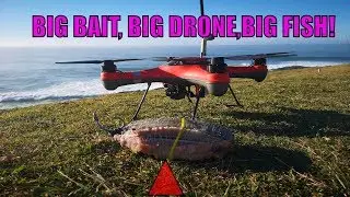 WILD COAST Drone fishing!