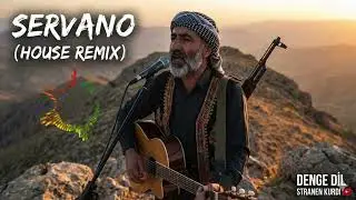 Şervano (Cover) - House Anatolian