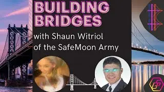 The SafeMoon Army Harassed Me Into This! Let's Build a Bridge with Shaun Witriol