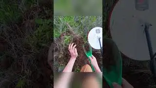 Вы это видите?