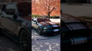 🐍☠️ford #fordperformance #fordracing🏇 #fordsofinstagram#ordmodified⚜️ #mustang #gt500 #mustangfan🔥🐍