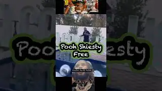 Kubuś Puchatek Shiesty Free Pierwszy dzień na wolności