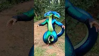 From Gorilla to Giant Snake &ndash; The Craziest Transformation Ever! 🐵😰😱🐍