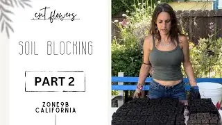 Soil Blocking: Part 2 #zone9b #gardening #cutflowers #flowerfarm