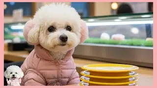 엄마의 마음