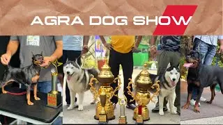 AGRA DOG SHOW 😱🔥 BEST DOG BREEDS EVER SEEN 2025❤️ 