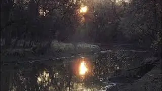Triumph Of Hope (Meditation Sleep Track)