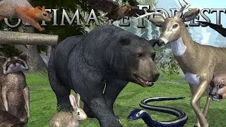 The Many Beasts of the Forest!! Bears, Bats, Cougars, Snakes, and More!! • Ultimate Forest Simulator