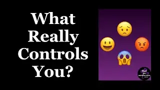 Understanding the Four Core Human Emotions: How Happiness, Sadness, Fear, and Anger Shape Your Life