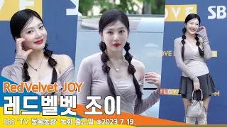 레드벨벳 조이, 목동 여신 등장이오~ 오늘도 상큼하게 화이팅!(동물농장 출근길)/ RedVelvet JOY  #Newsen