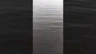 Water stroomt