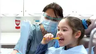 Day in the Life: Community Dental Nurse