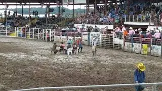 2017 Angola rodeo