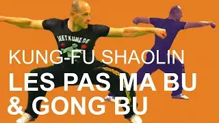 DEUX PAS SHAOLIN : MA BU & GONG BU - Kung Fu Shaolin Reims