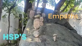 Empath | Highly Sensitive Person | ENFP | Healing Journey