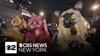 Highlights from NYC's 2024 Village Halloween Parade