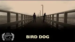 Bird Dog short film