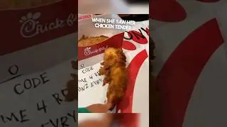 Ее куриный фарш Chick-Fil-A был жив 😱