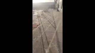 Daily Habits of Animals｜动物的日常习惯｜動物たちの日々の習性｜ 2026-01-19 01:04:11