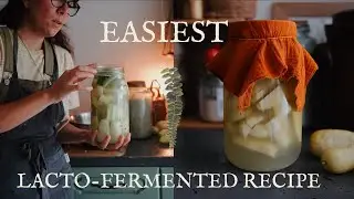 The EASIEST way to get into LACTOFERMENTATION