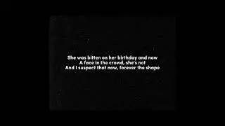My Mistakes Were Made for You - The Last Shadow Puppets (Lyrics)