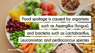 Why is a refrigerator important for keeping food safe? | #circleofgenius #facts #howithappens