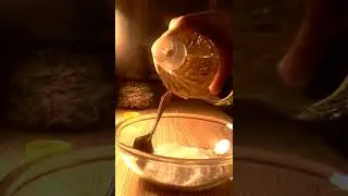VID 20190321 185807