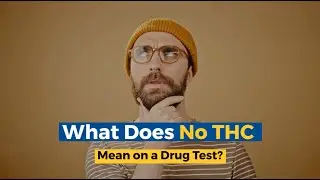 What Does No THC Mean On A Drug Test?