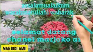 ANIMASI selamat datang di Channel marjoko amd