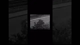 75mm Howitzer Motor Carriage M8 during Liberation of Maastricht in September 1944