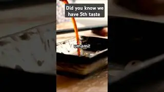 Umami: The Taste That Will Change How You Eat Forever
