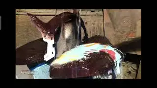 THERMO PAINT