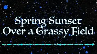 Spring Sunset Over a grassy Field (original)