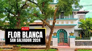 Explorando COLONIA FLOR BLANCA de SAN SALVADOR en sus 90 años - EL SALVADOR