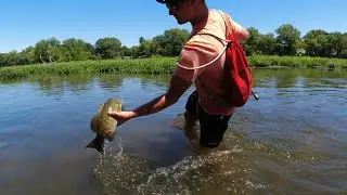 Multispecies River Fishing in ULTRA Shallow Water!!!