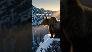 🐻The Evolution of Bears in 45 Seconds!