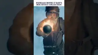 PATHAAN MOVIE 17 DAY'S BOX OFFICE COLLECTION #pathaan #sharukhkhan #salmankhan #collection #shorts
