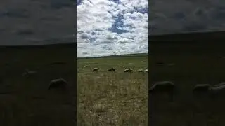 17 июля 2021 г.