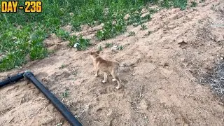 Aaj Rembo Akele Hi Gum Rha Hai 😀