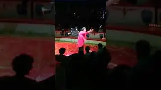 Cirkus   Skuespil med folk