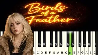 Billie Eilish - Birds Of A Feather Piano Tutorial | Easy