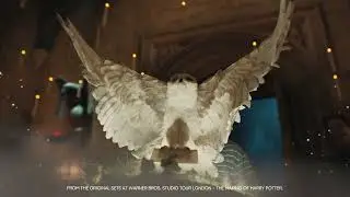 Food Network | Harry Potter: Wizards of Baking Season 2