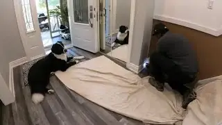 Remodelling My Remodel Pt1 of 2